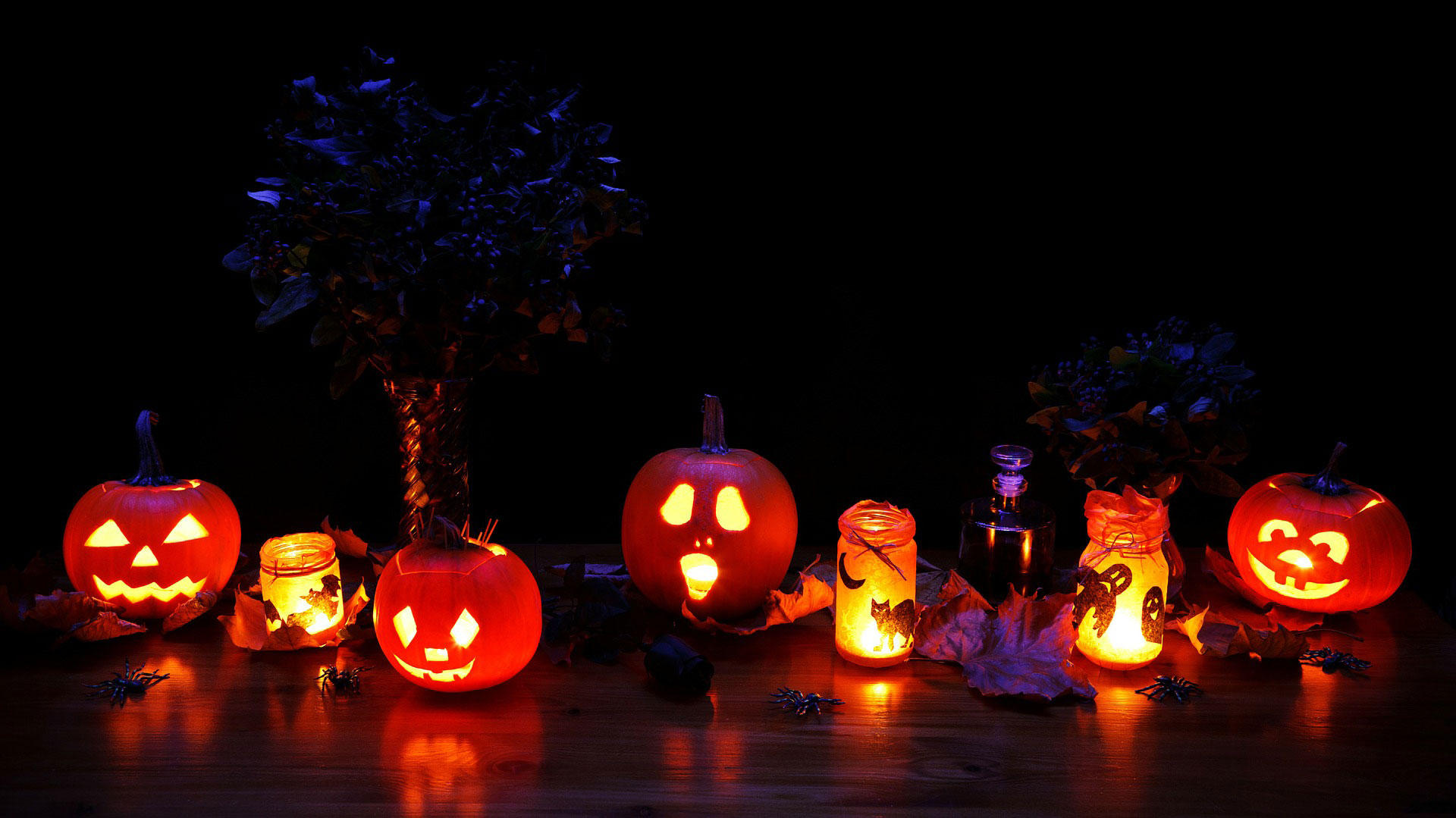 halloween beleuchtung Foto halloween beleuchtung