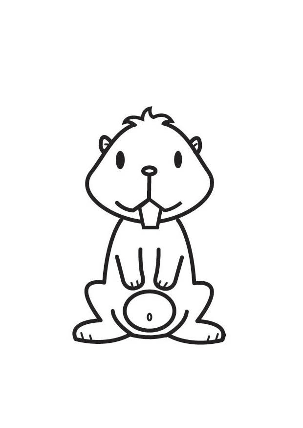 hamster Malvorlage hamster