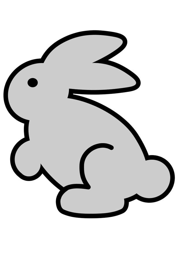 hase Bild hase