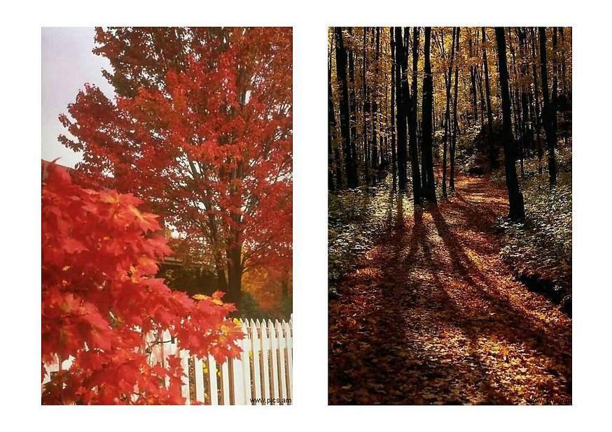 herbst 1 Foto herbst 1
