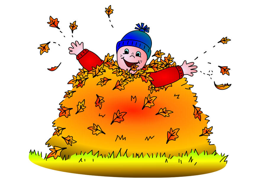 herbst Bild herbst