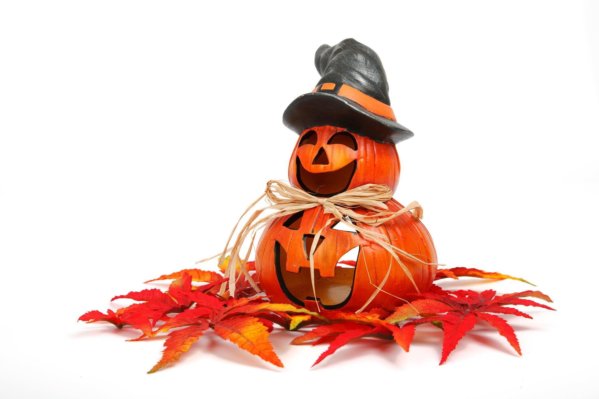 herbst - halloween Malvorlage herbst - halloween