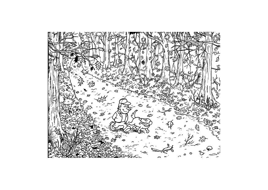 Malvorlage herbst waldspaziergang