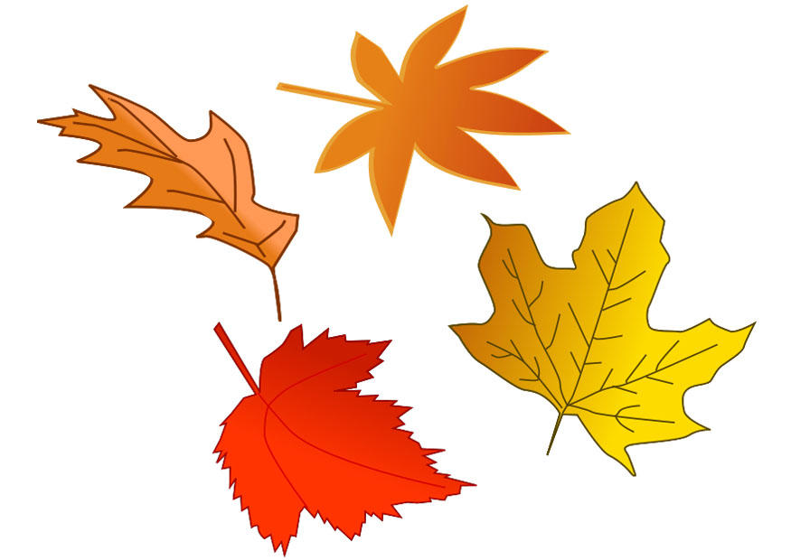herbstblA¤tter Bild herbstblA¤tter