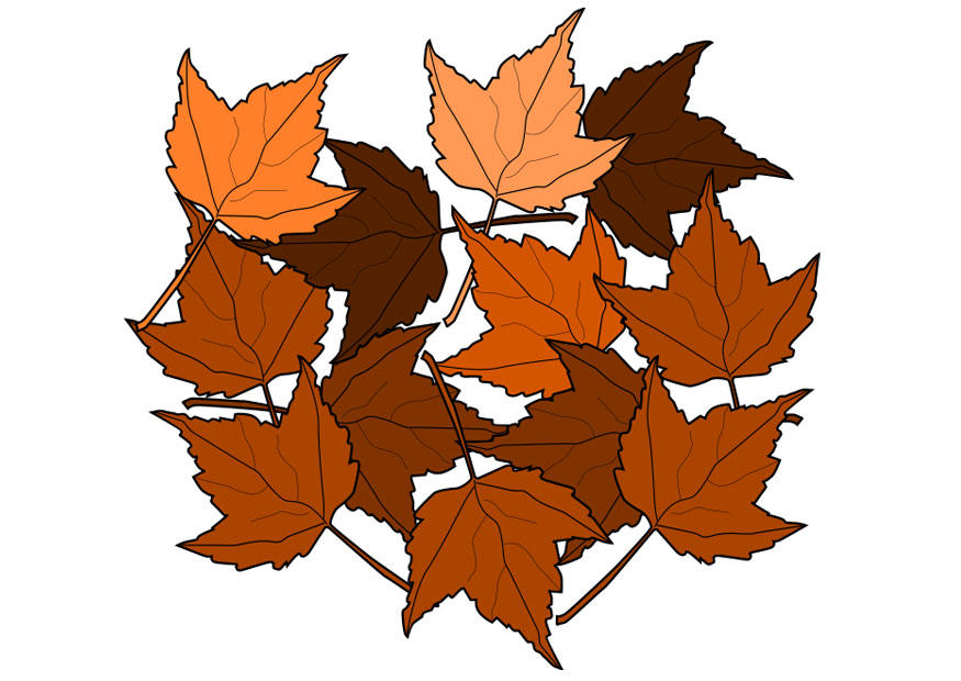 herbstblA¤tter Bild herbstblA¤tter