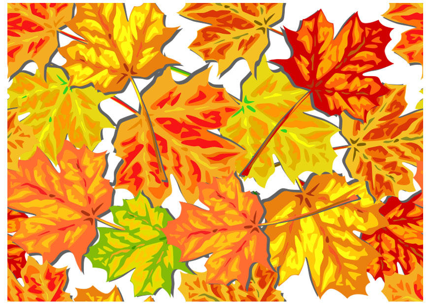 Bild herbstblA¤tter