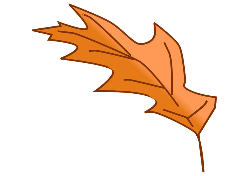 herbstblatt Bild herbstblatt