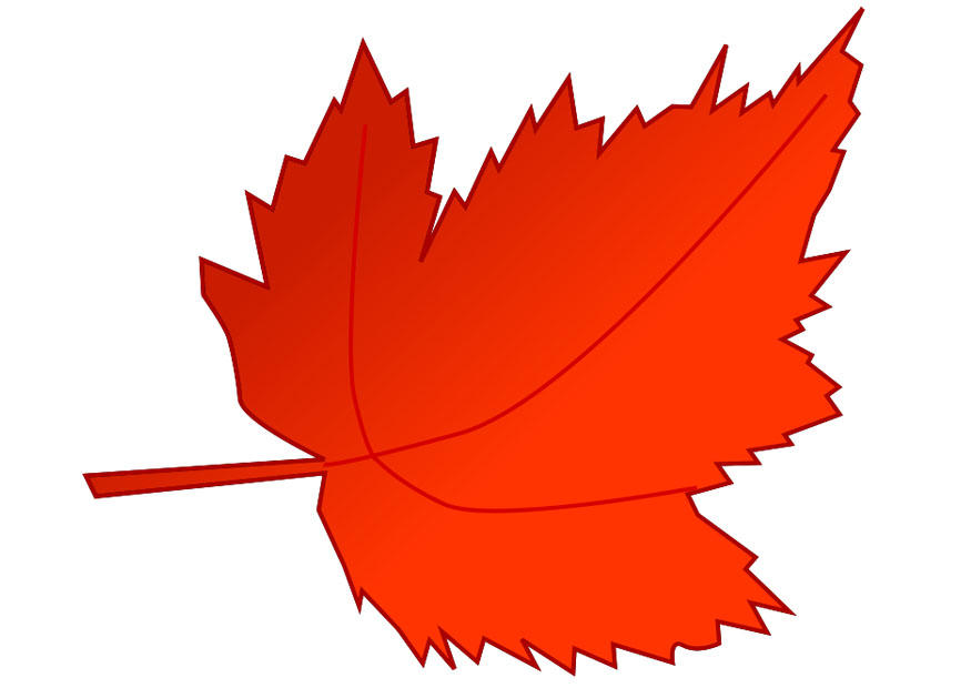 herbstblatt Bild herbstblatt