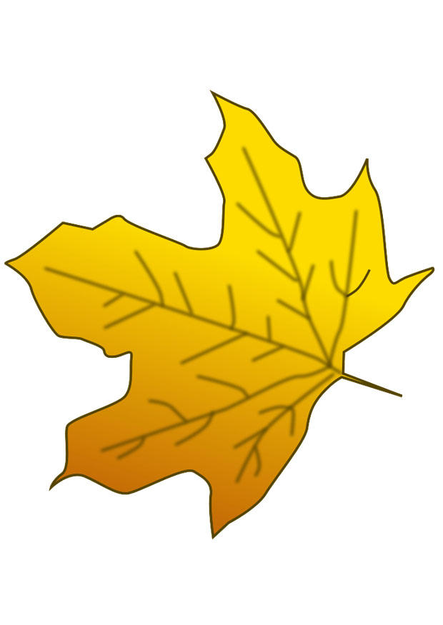 herbstblatt Bild herbstblatt