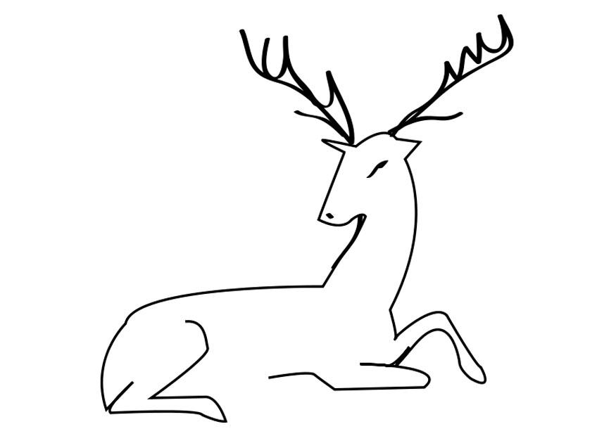 hirsch Malvorlage hirsch