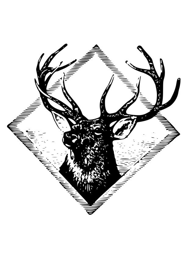 hirschgeweih Malvorlage hirschgeweih