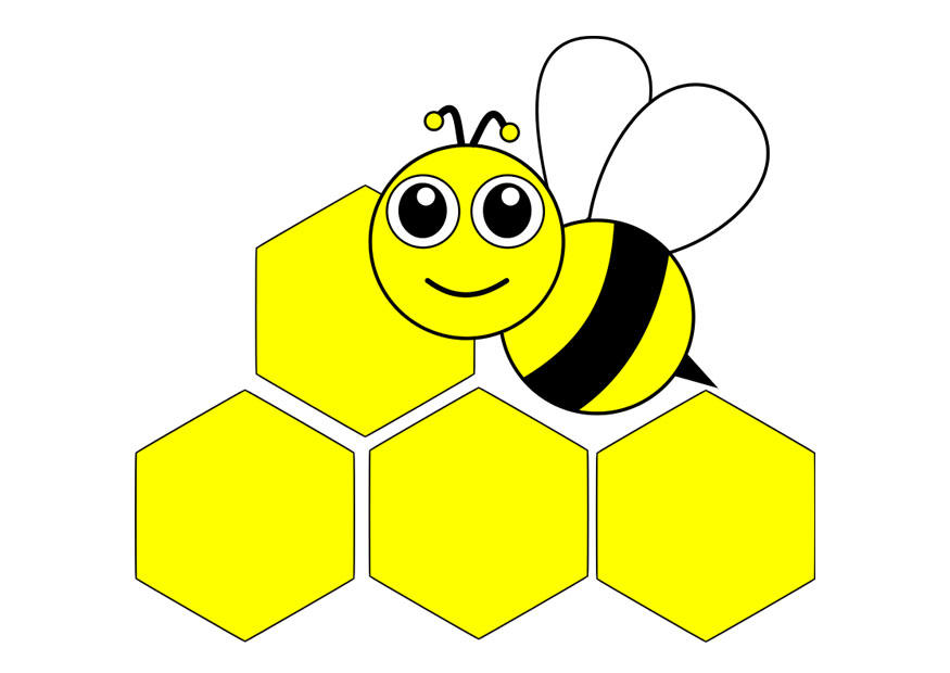 honigbiene - front Bild honigbiene - front