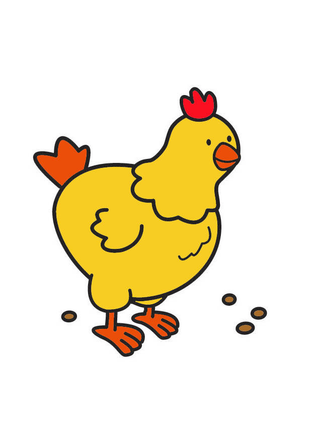 huhn Bild huhn