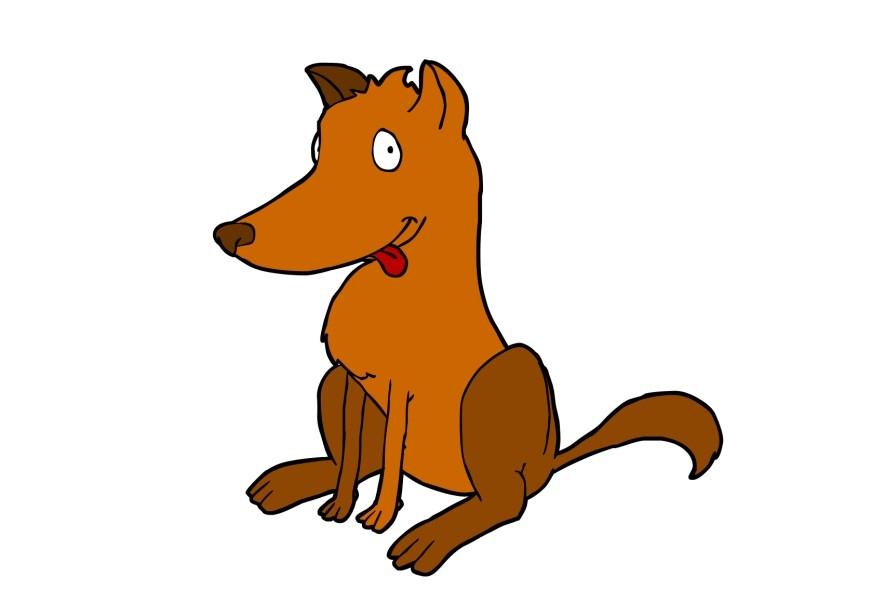 hund Bild hund