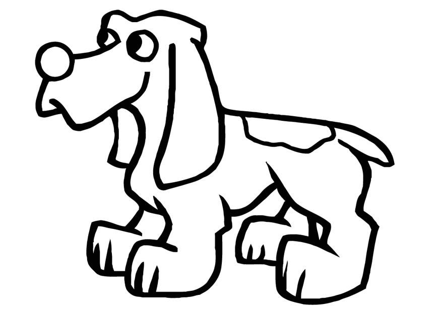 hund Malvorlage hund