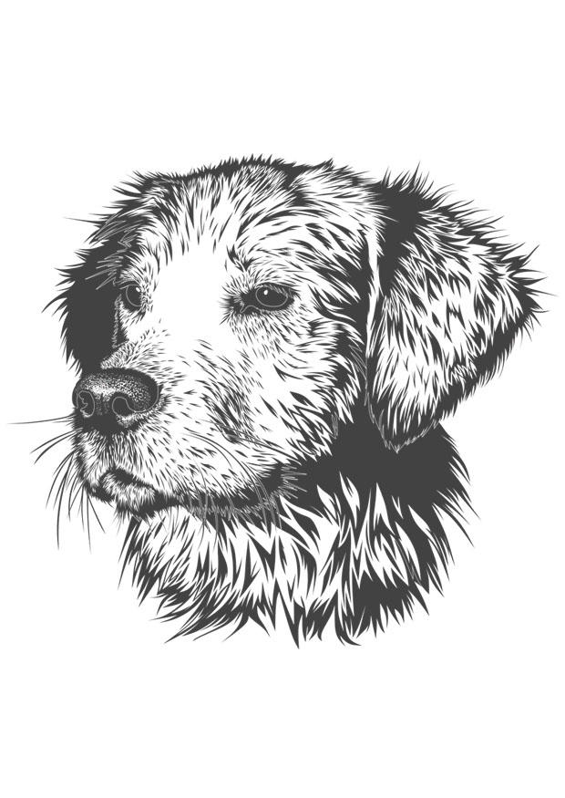 hund Malvorlage hund