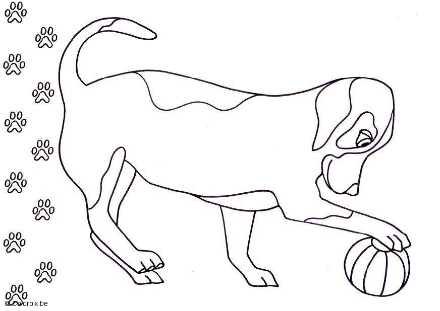 hund Malvorlage hund