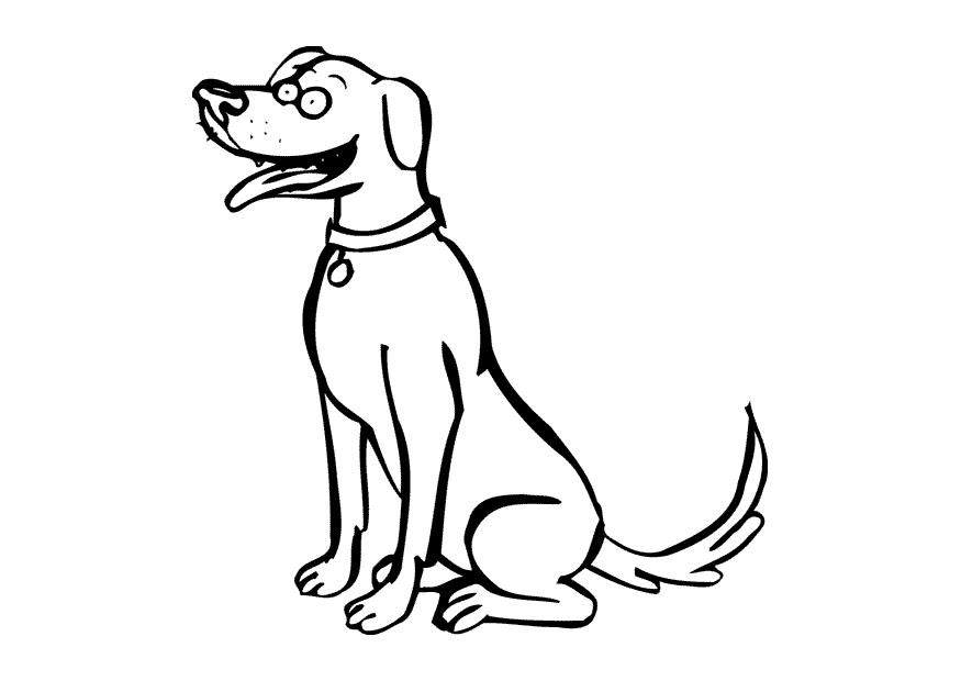 hund Malvorlage hund