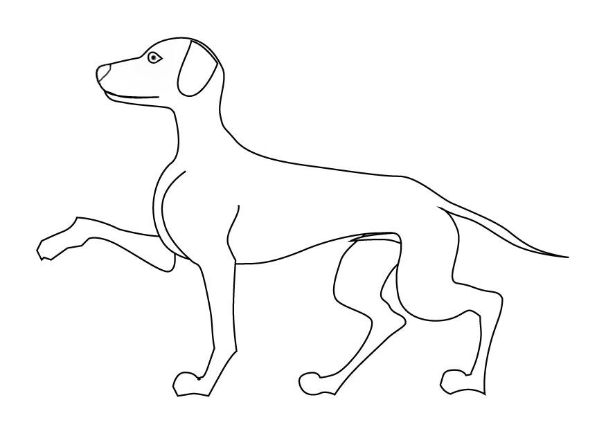 hund Malvorlage hund