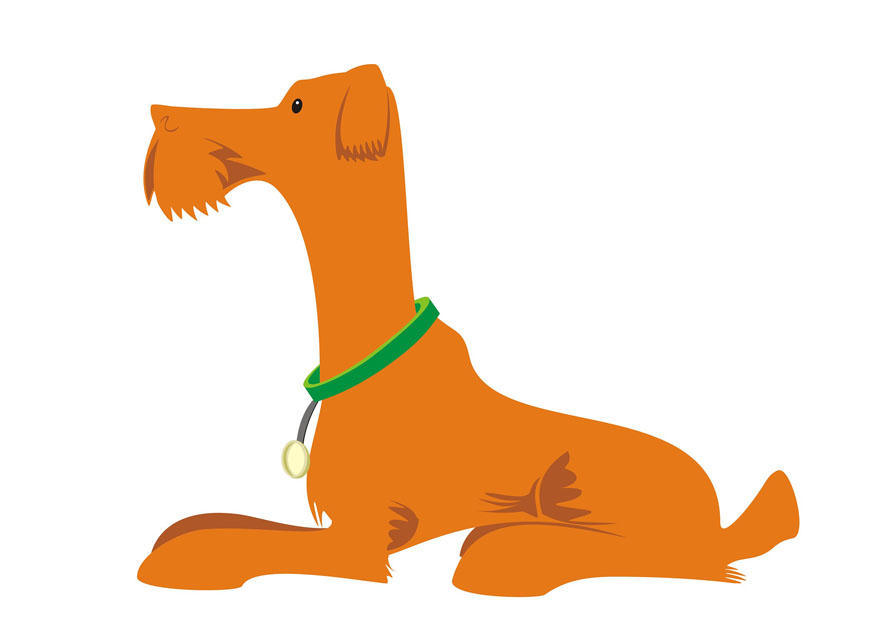 hund - liegen Bild hund - liegen