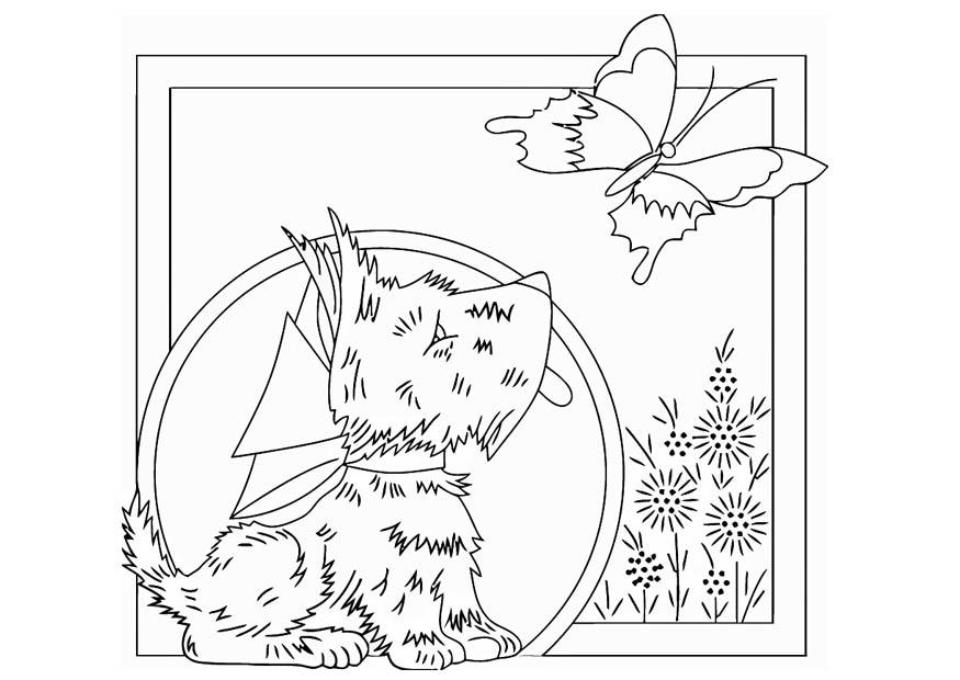 hund mit schmetterling Malvorlage hund mit schmetterling