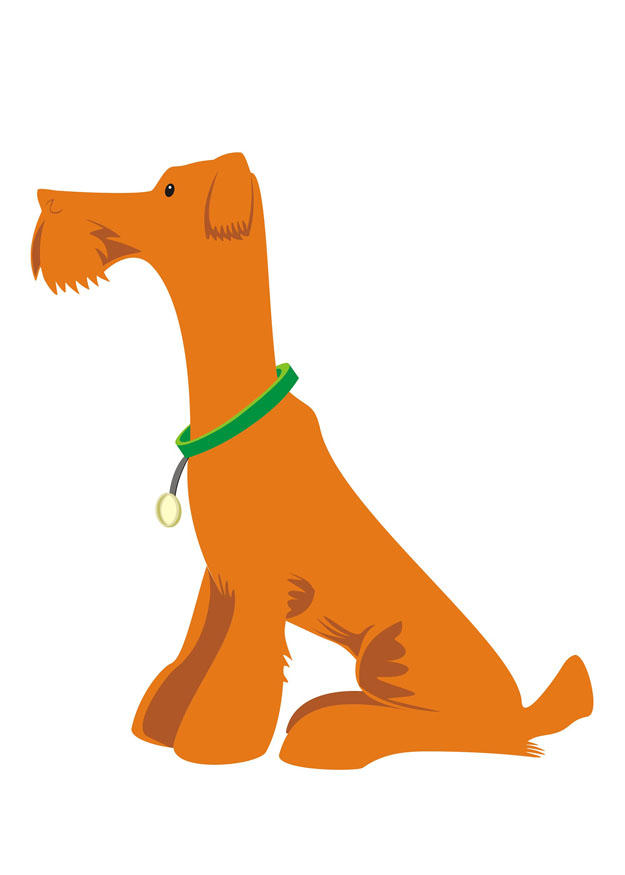 hund - sitzen Bild hund - sitzen