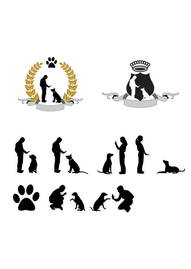 hund trainieren Bild hund trainieren