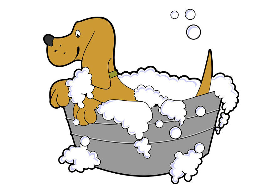 hund waschen Malvorlage hund waschen