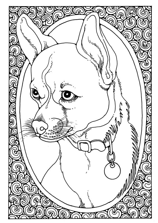 hundeportrait Malvorlage hundeportrait