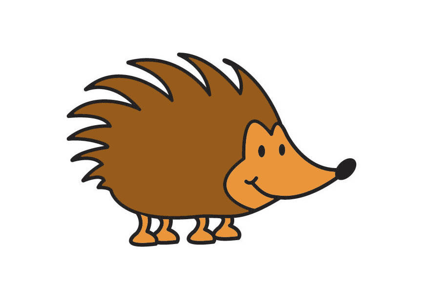igel Bild igel