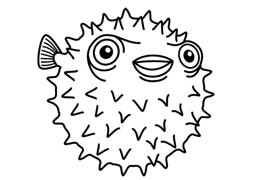 Malvorlage igelfisch
