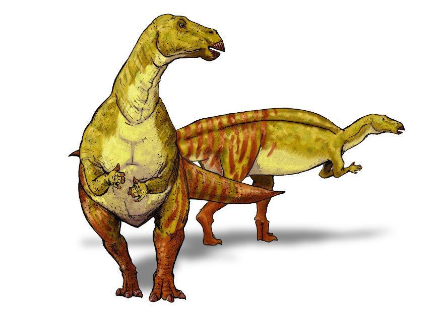 iguanodont Bild iguanodont