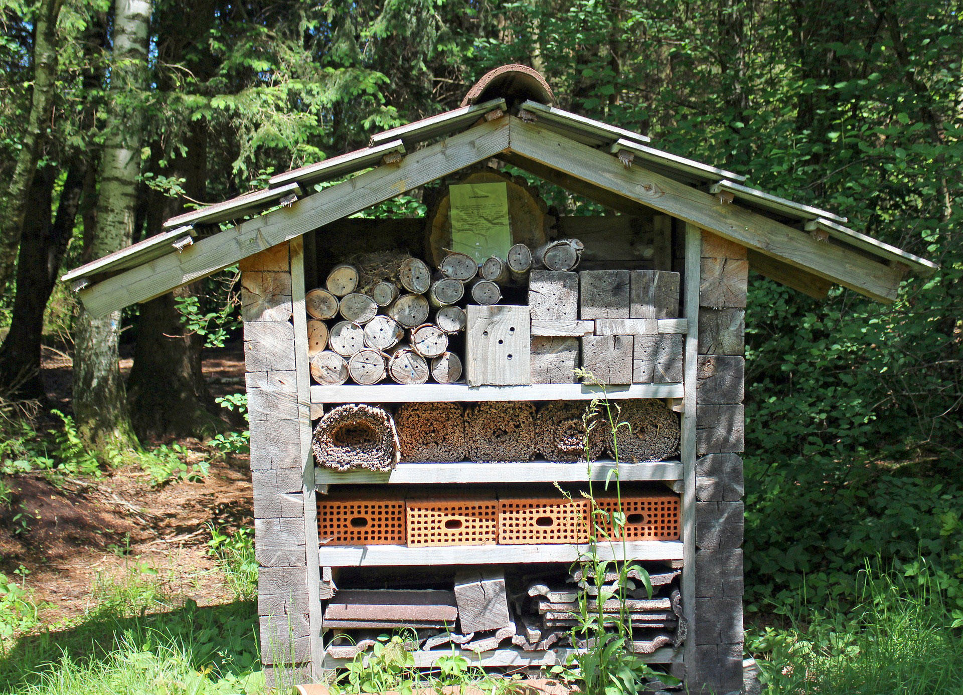 insektenhotel Foto insektenhotel