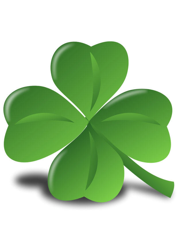 irisches kleeblatt - shamrock Bild irisches kleeblatt - shamrock