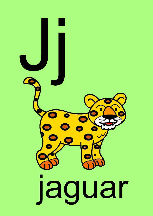 j Bild j