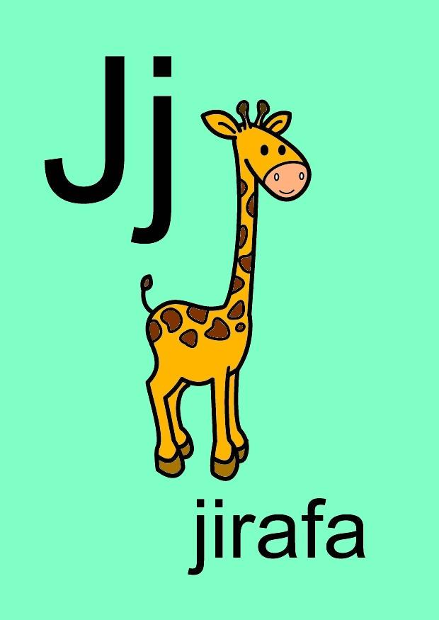 j Bild j