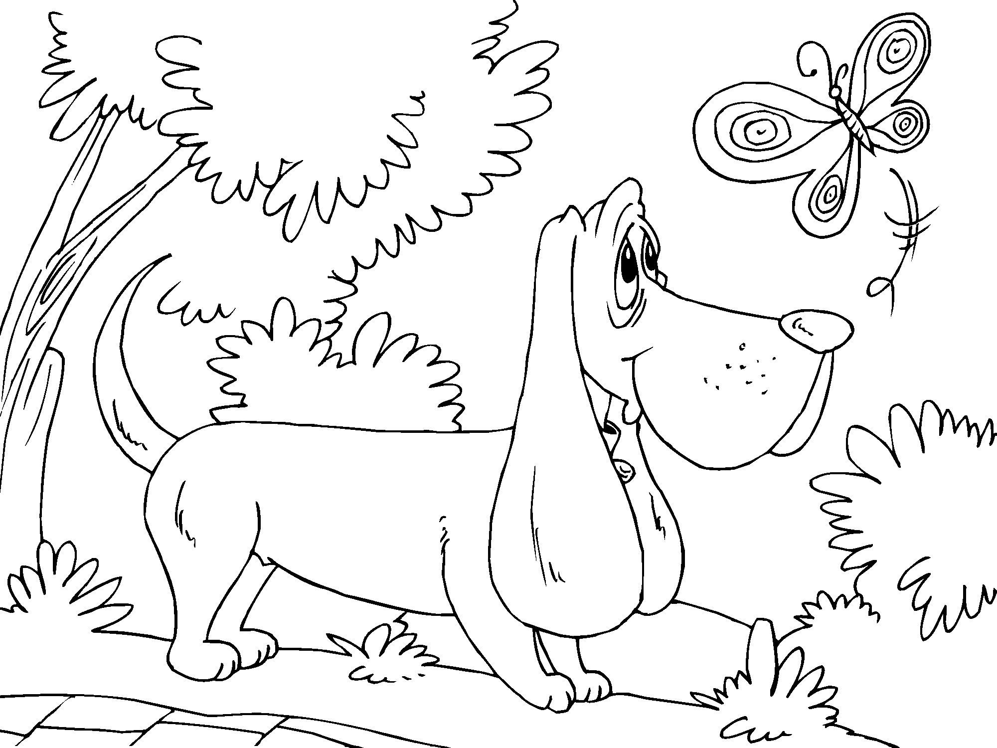jagdhund Malvorlage jagdhund