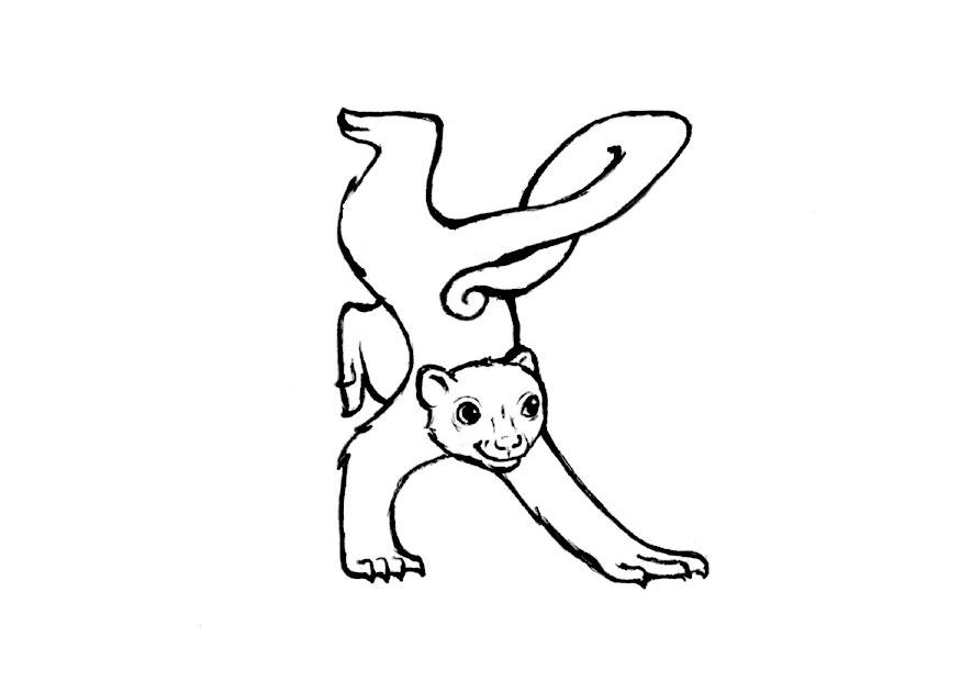 k-kinkajou Malvorlage k-kinkajou