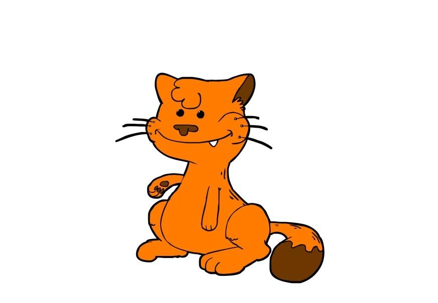 katze Bild katze