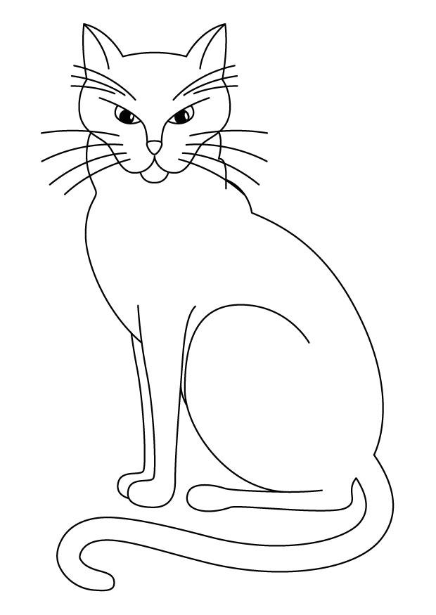 katze Malvorlage katze
