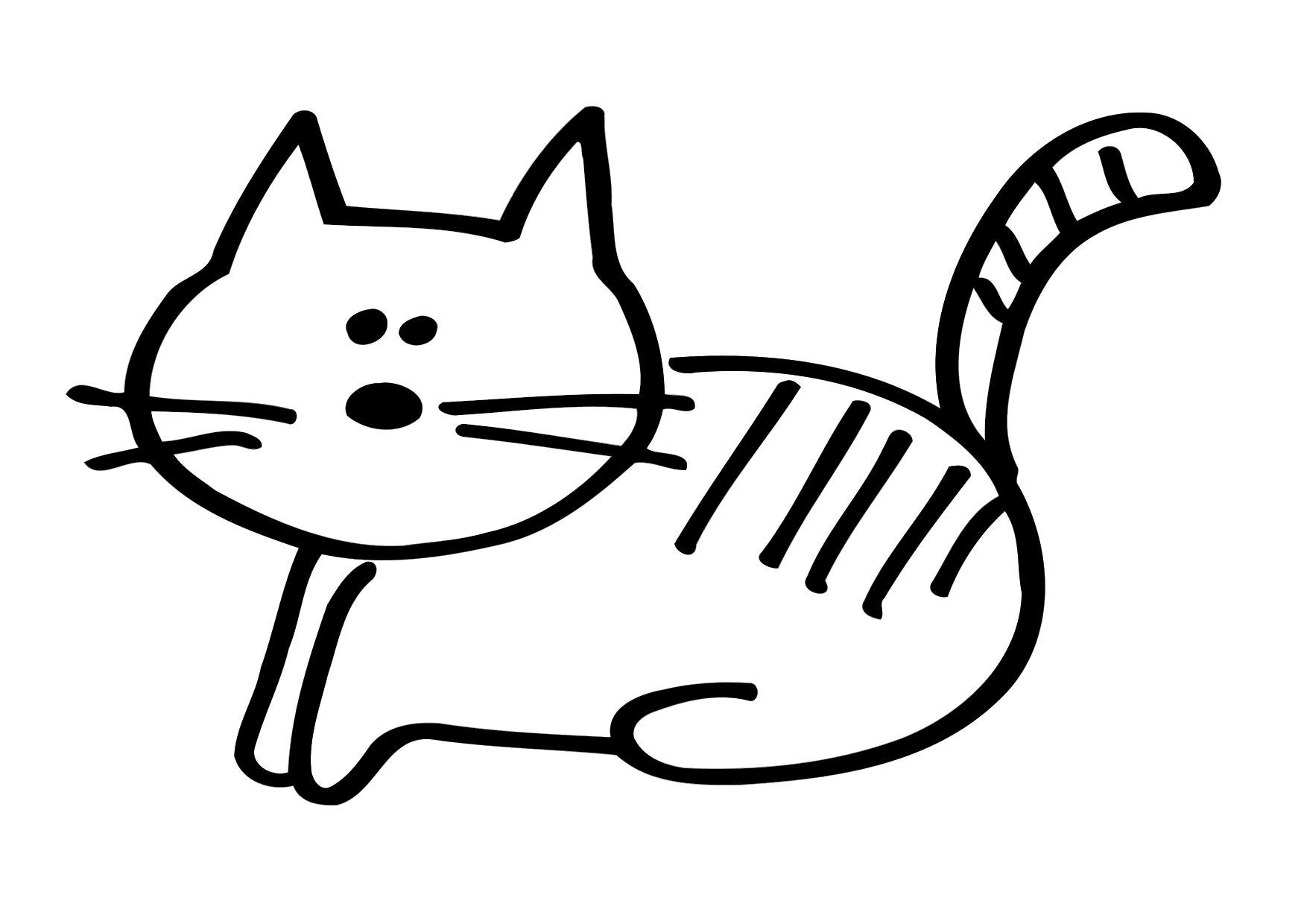 katze Malvorlage katze