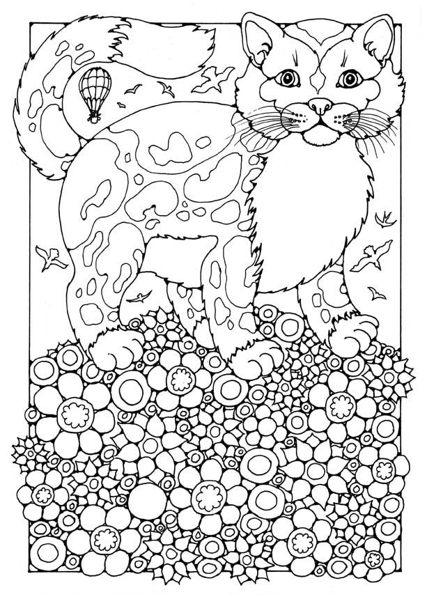 katze Malvorlage katze