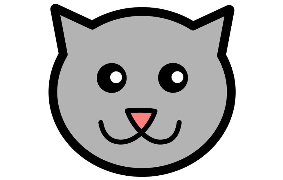 katze Bild katze