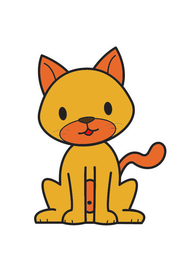 katze Bild katze