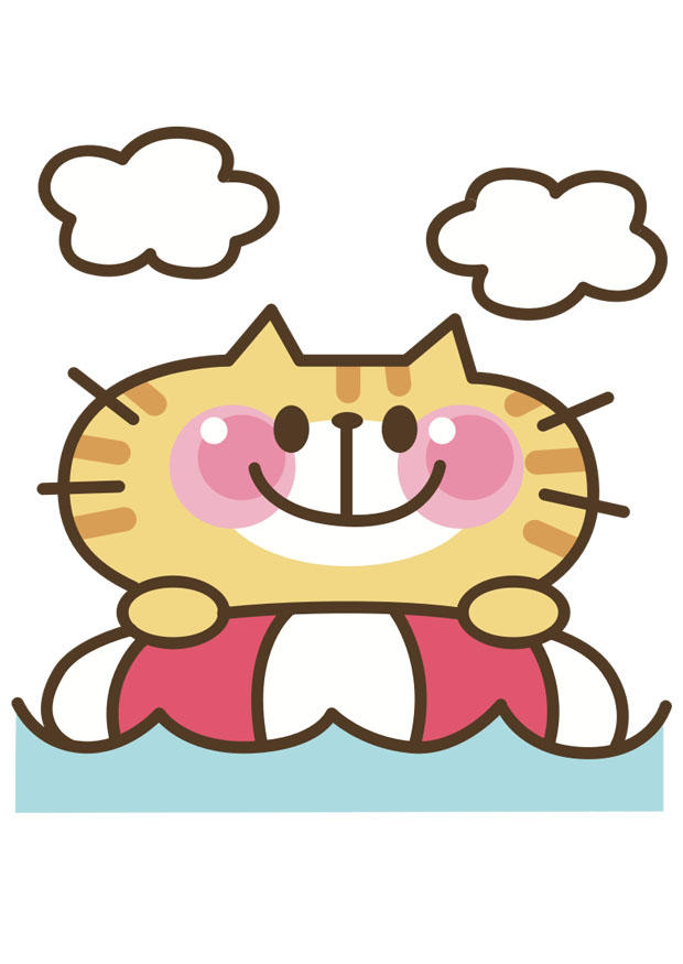 katze Bild katze