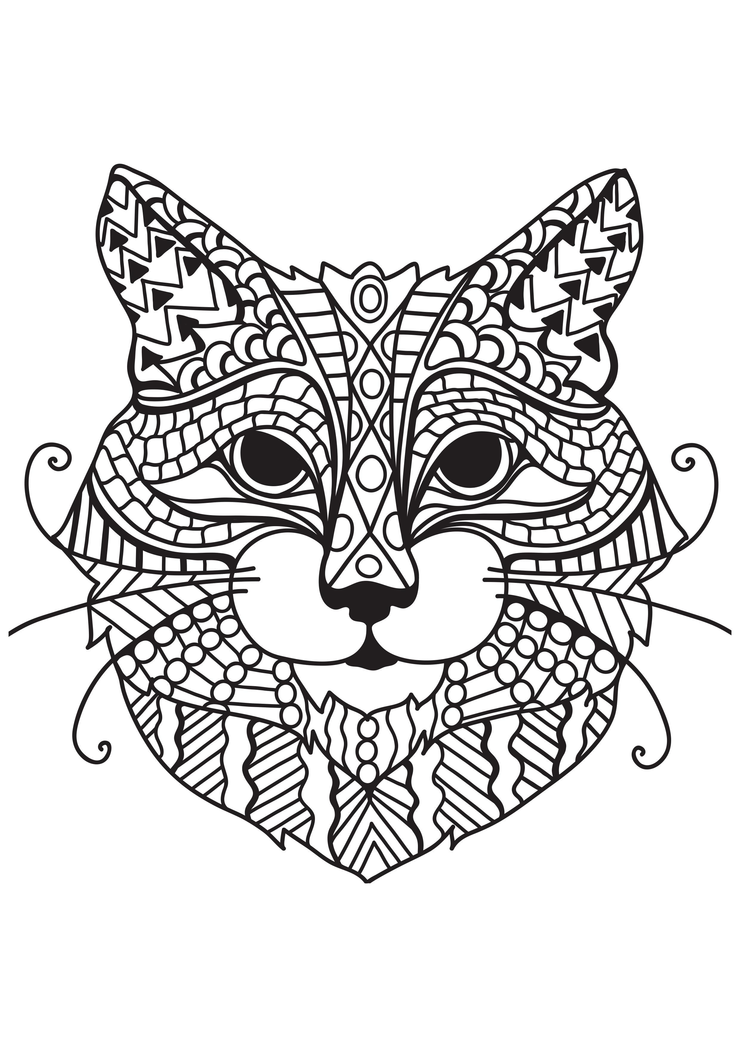 katze mit schnurrhaaren Malvorlage katze mit schnurrhaaren