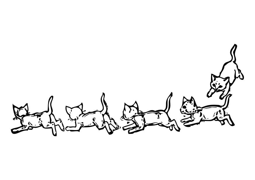 katzen Malvorlage katzen