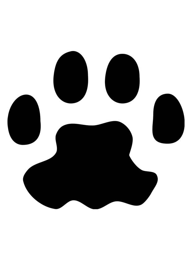 katzenpfotze Malvorlage katzenpfotze