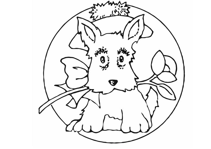 kleiner hund Malvorlage kleiner hund