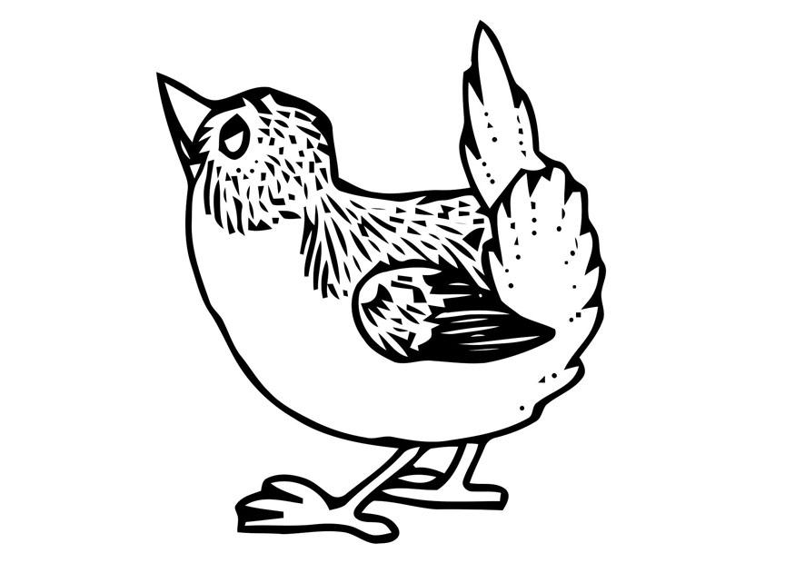 kleiner vogel Malvorlage kleiner vogel